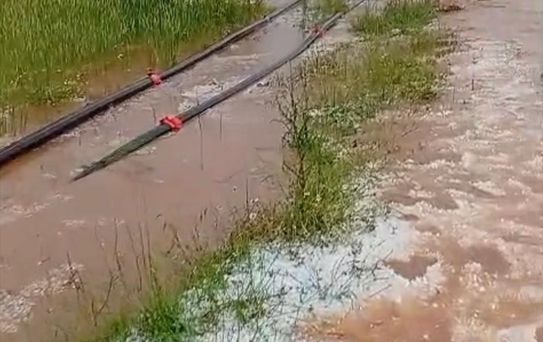 Afyonkarahisar'da Dolu Yağışı Tarımı Vurdu