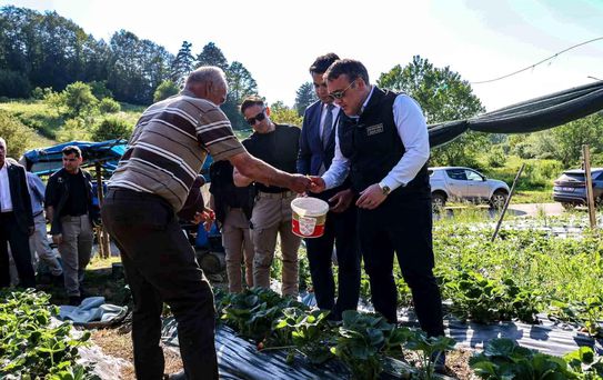 Vali Sözer Bozcaarmut'ta Çilek Hasadı Yaptı