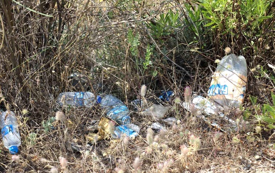 Aydın'da Çöp Problemi Yangın Tehlikesi Doğuruyor