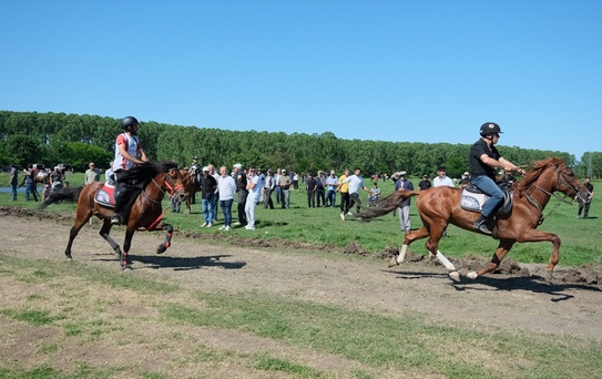26. Rahvan At Yarışları Bahar Festivali
