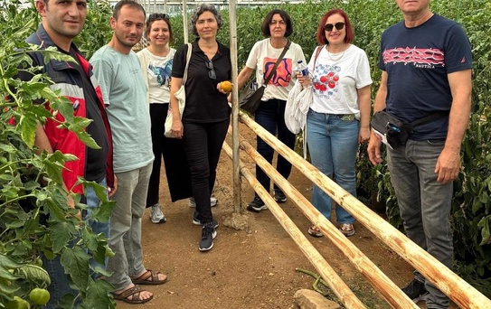 Domates Üreticilerine Eğitim Toplantısı