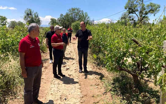 Denizli'de Dolu Zarar Verdi