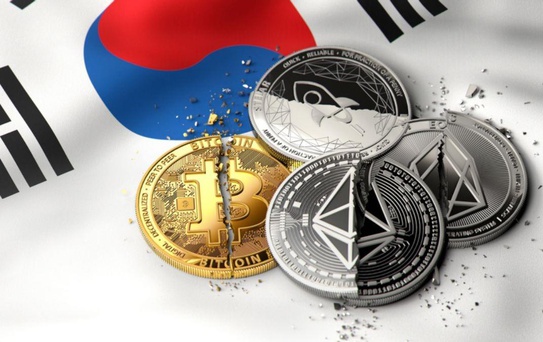 Güney Kore'de 11 milyon dolarlık USDT aklama şebekesine operasyon