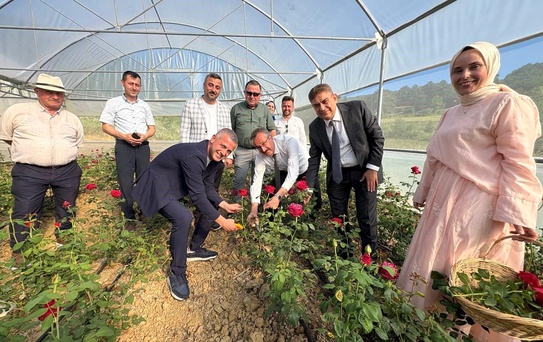Kadın girişimci hibe desteğiyle Kocaeli'nin ilk gül serasını kurdu