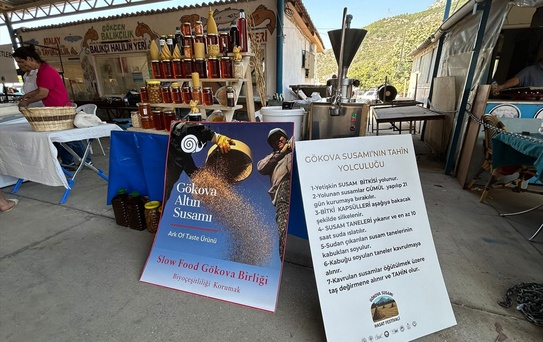 Gökova Susamı'na Coğrafi İşaret Tescili