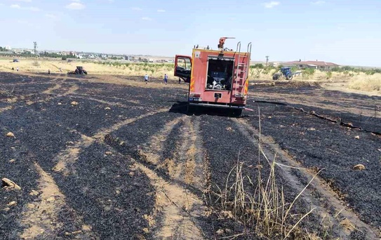 Kızıltepe'de Yangın: 40 Dönüm Buğday Zarar Gördü