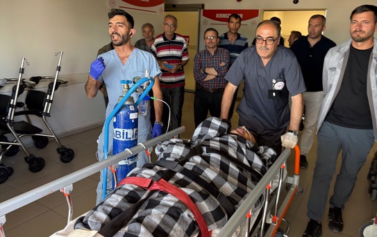 Suşehri'nde Ayı Saldırısı: Çoban Yaralandı