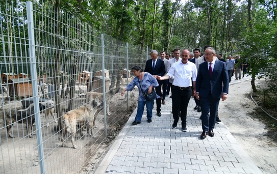 Vali Soytürk, Hayvan Bakım Merkezini Ziyaret Etti