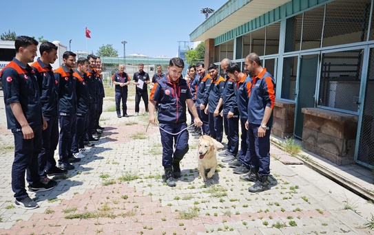 Köpük: 9 Yaşında Kahraman Arama Kurtarma Köpeği