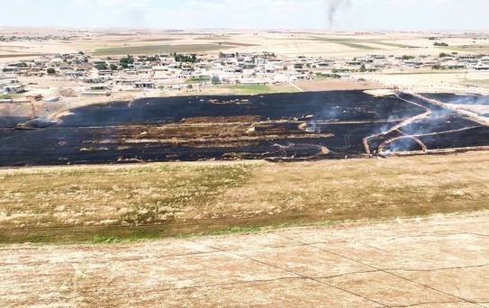 Şanlıurfa'da Anız Yangınları Ekili Alanlara Zarar Verdi