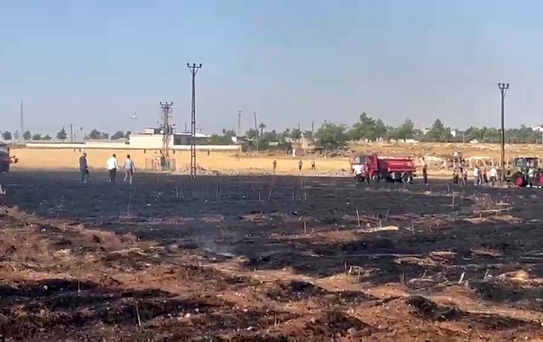 Viranşehir'de Yangın: 60 Dönüm Buğday Yandı