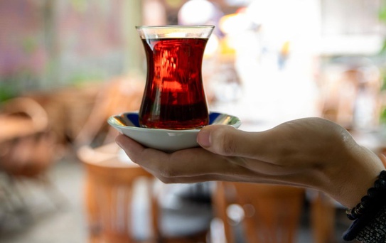 Balkona çay içmeye çıktı, karşısında dev yılanı görünce donakaldı