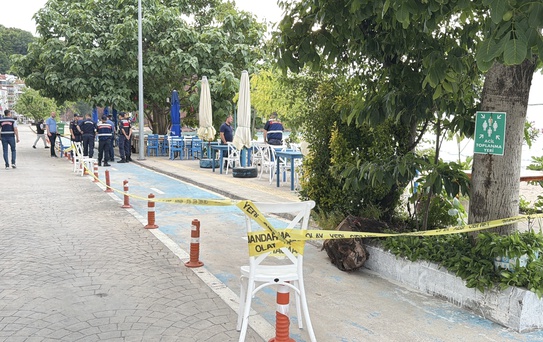 Amasra'da Dalgalarla Sahile Vuran İHA Bulundu