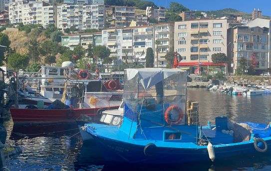 Marmara Denizi'nde Alg Patlaması Endişesi