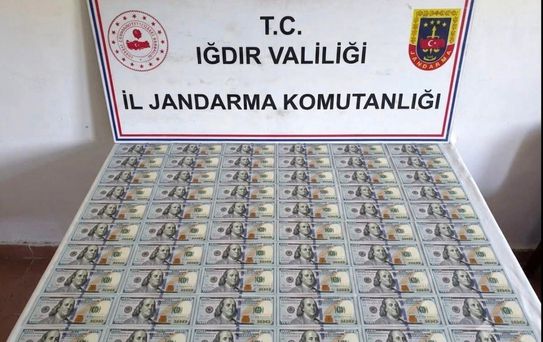 Iğdır'da Sahte Dolar Operasyonu