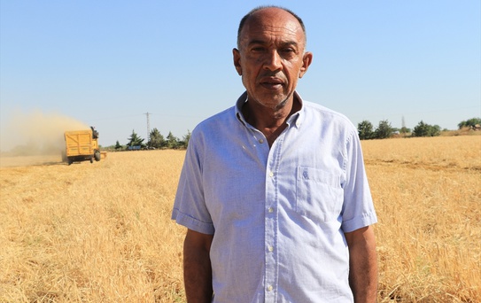 Kilis'te Hasat Sezonu Başladı