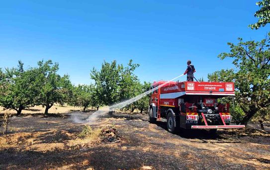 Malatya'da bahçe ve orman yangını