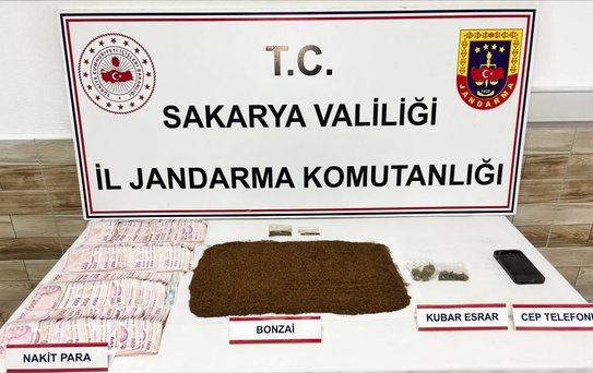 Karasu'da Uyuşturucu Operasyonu: 1 Tutuklama