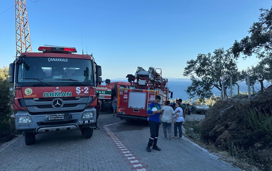 Ayvacık'ta Zeytinlik Yangını Söndürüldü