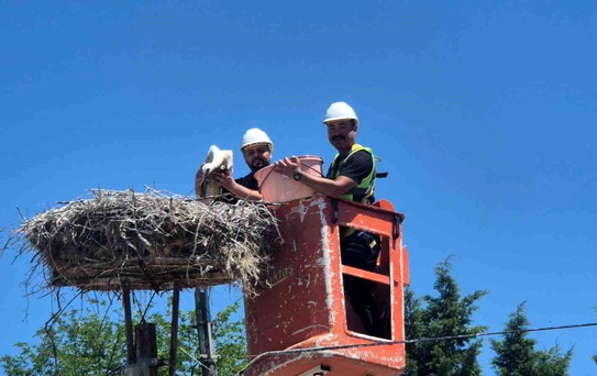 Leylek Festivali Hayrabolu'da Başladı
