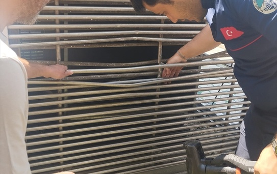 Havalandırma Boşluğundaki Kedi Kurtarıldı