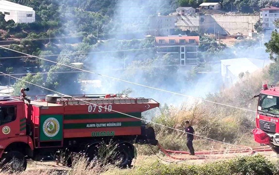 Alanya'da zirai alanda çıkan yangında 1 dönüm zarar gördü