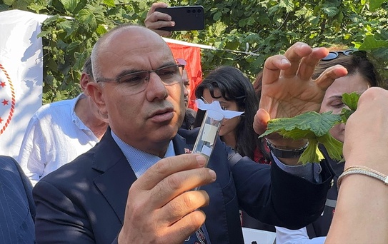 Samuray Arıları Fındık Bahçelerine Salındı