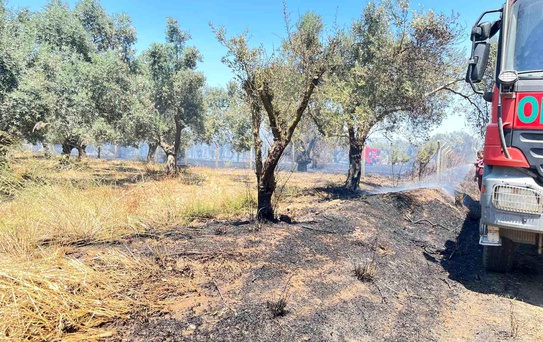 Bayındır'da Yangın Korkuttu