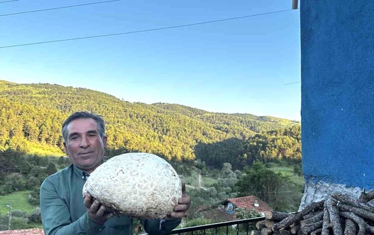 Dev Mantar Şaşırttı