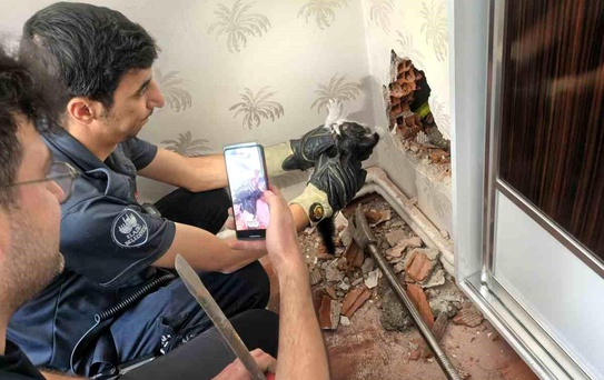Baca boşluğunda mahsur kalan yavru kedi kurtarıldı
