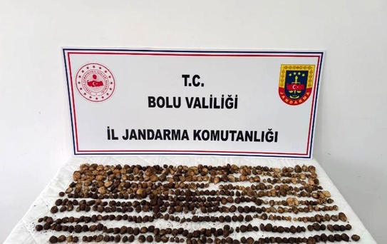 Yabani Salep Toplayan 3 Kişiye 2 Milyon TL Ceza