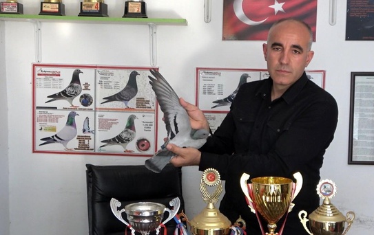 Akdeniz Şampiyonu Posta Güvercini