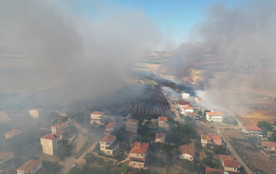 Süleymanpaşa'da Tarla Yangını
