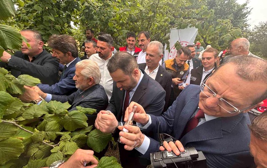 Trabzon'da kahverengi kokarcaya karşı doğal ordu göreve başladı