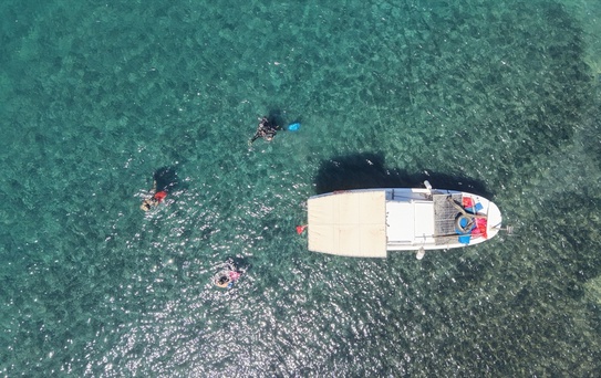 Bodrum'da Deniz Dibi Temizliği