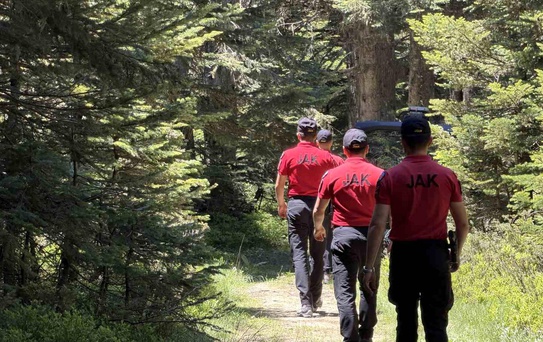 Bursa'da ormanlara girişler yasaklandı