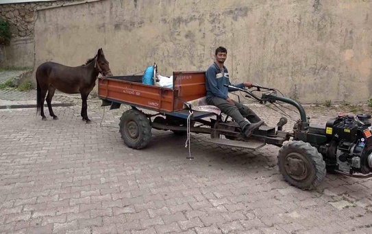 Engelli Genç ile Katırı Arasındaki Sıra Dışı Dostluk