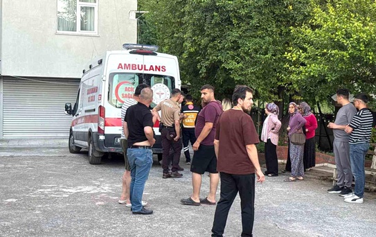 Dut Toplarken Düşen Adam Yaralandı