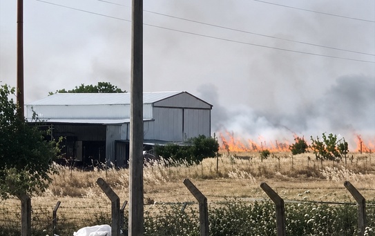 Çanakkale'de Tarım Arazisinde Yangın