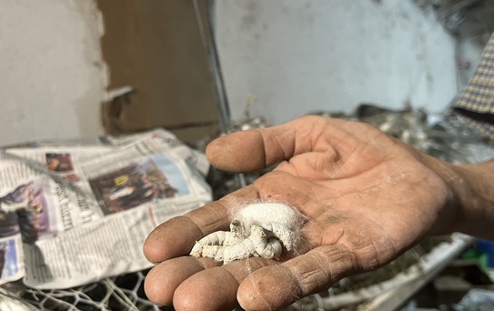 Evinin altında ipek böceği yetiştirerek 40 günde 216 bin TL kazandı