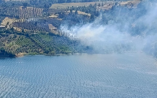 Kahramanmaraş'ta ziraat yangını kontrol altına alındı