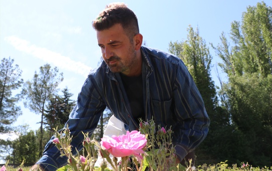 Ertaş Ailesinin Gül Yağı Başarısı