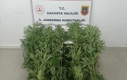 Sakarya'da Uyuşturucu Operasyonu: 3 Tutuklama