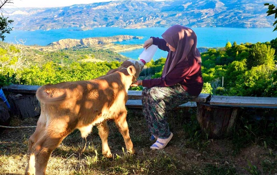 Zehra Uslu'nun Hayvan Sevgisi