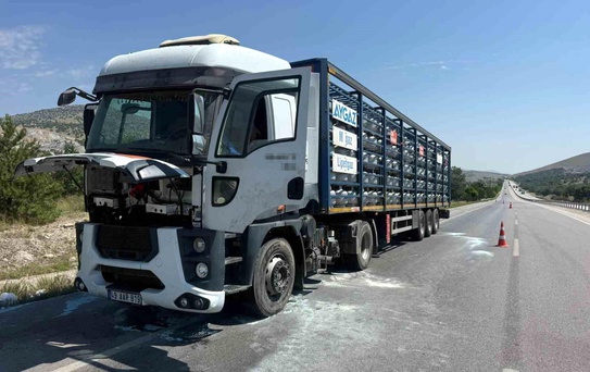 Bayat'ta TIR Yangını Korkuttu