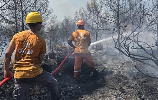 Antalya'da Orman Yangınına Müdahale