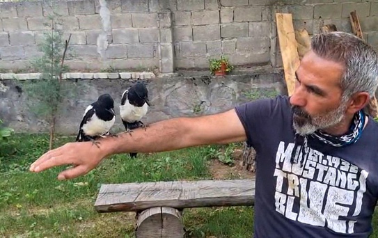 Yavru Kuşlara Şefkat