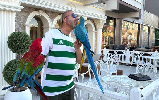 Renkli Papağanlarla Geziye Çıkıyor