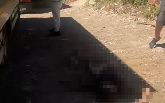 Ekmek parası kazanırken gelen feci ölümler