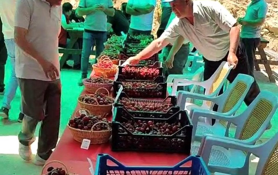 Hisarcık Kutlubeyler köyünde Kiraz Festivali coşkusu